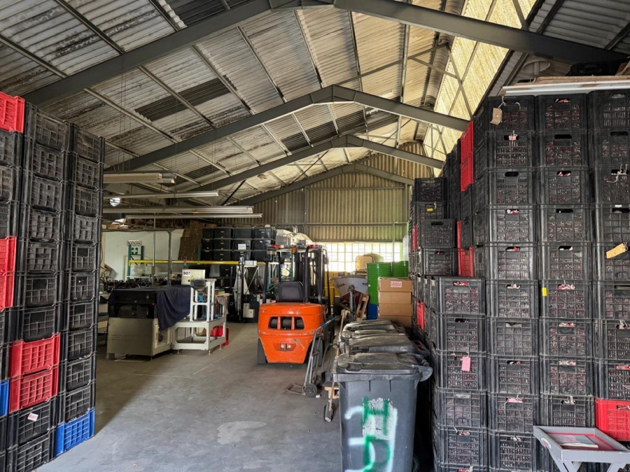 To Let Commercial Property for Rent in Gants Plaza Western Cape
